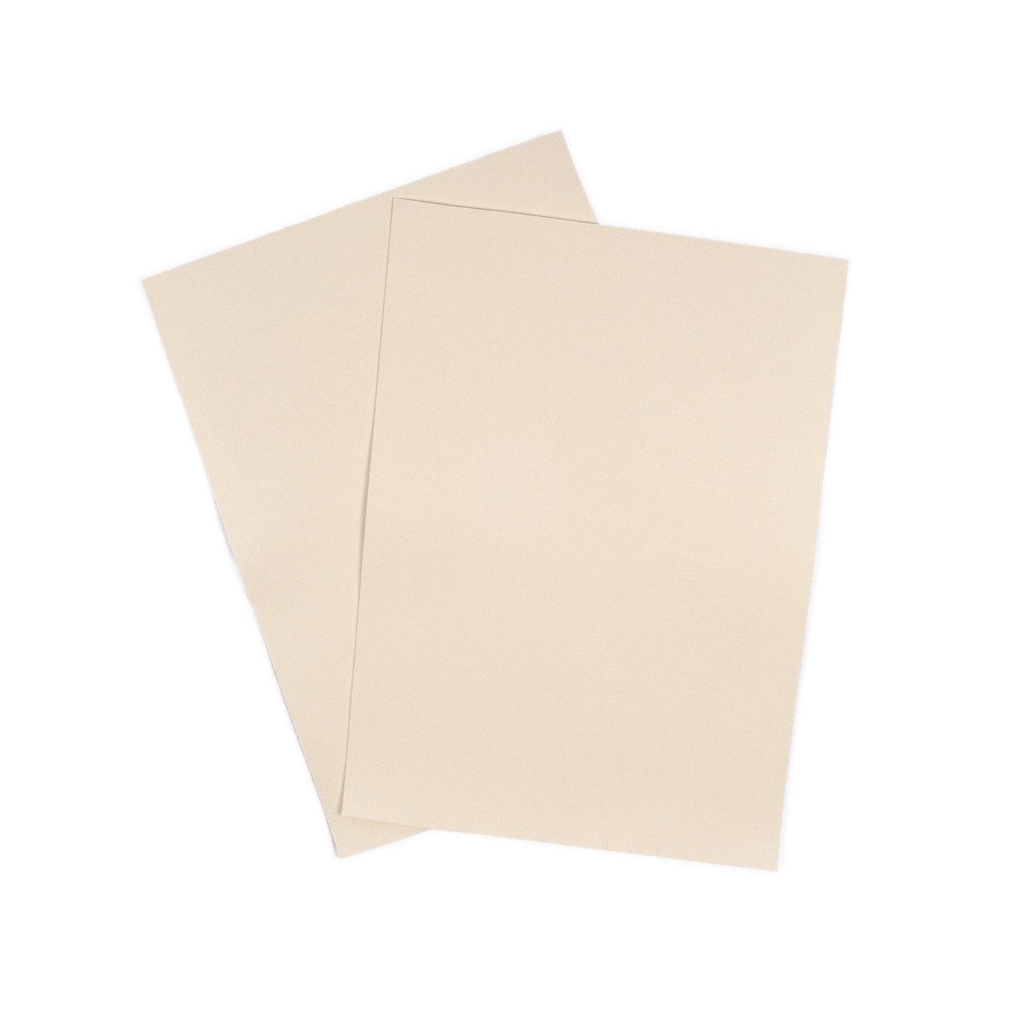 Kaktusleder in Weiss mit fester Haptik