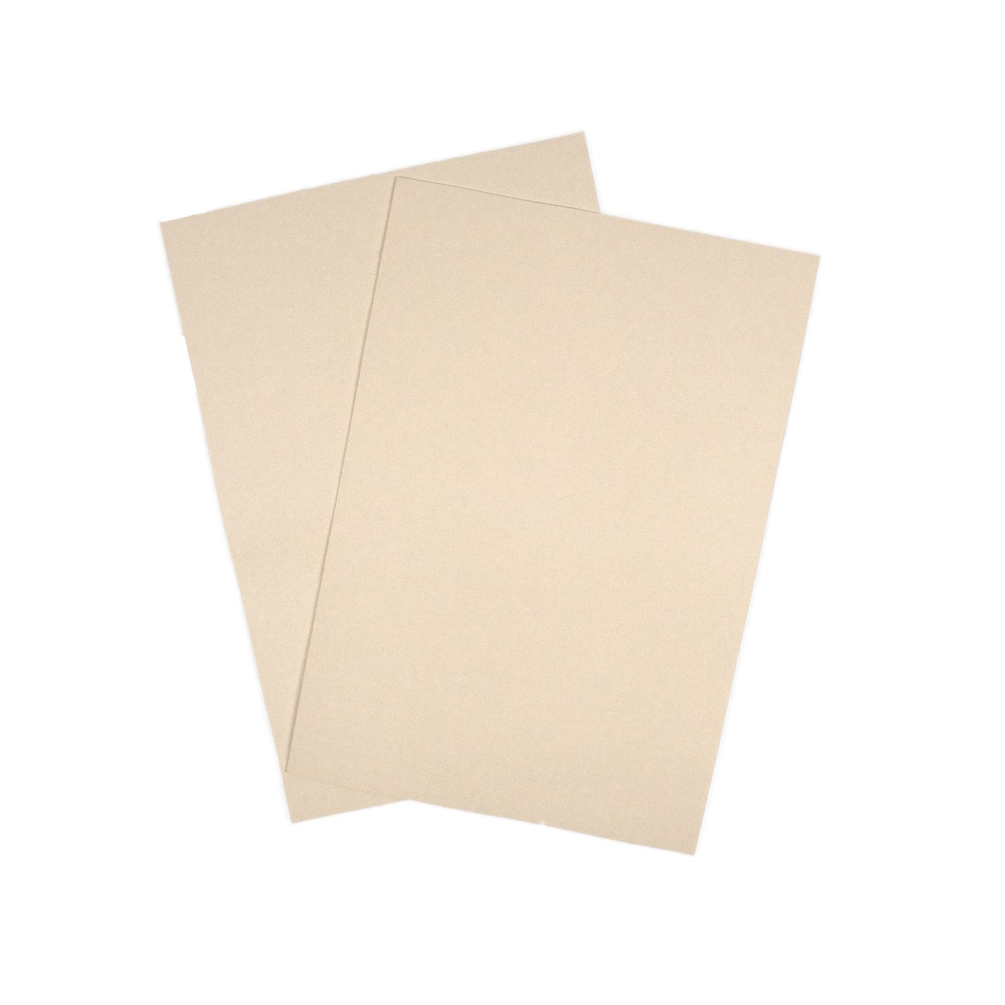 Kaktusleder mit mittelfester Haptik in Weiss